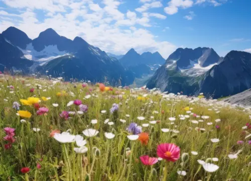 Valley of Flowers: Where Nature Paints Its Masterpiece