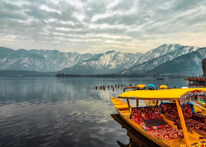 Kashmir