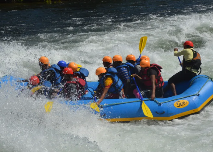 Dandeli