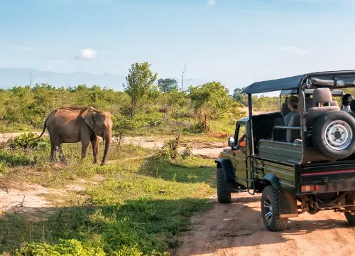 Jeep Safari