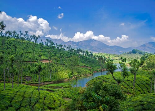Munnar 3 days