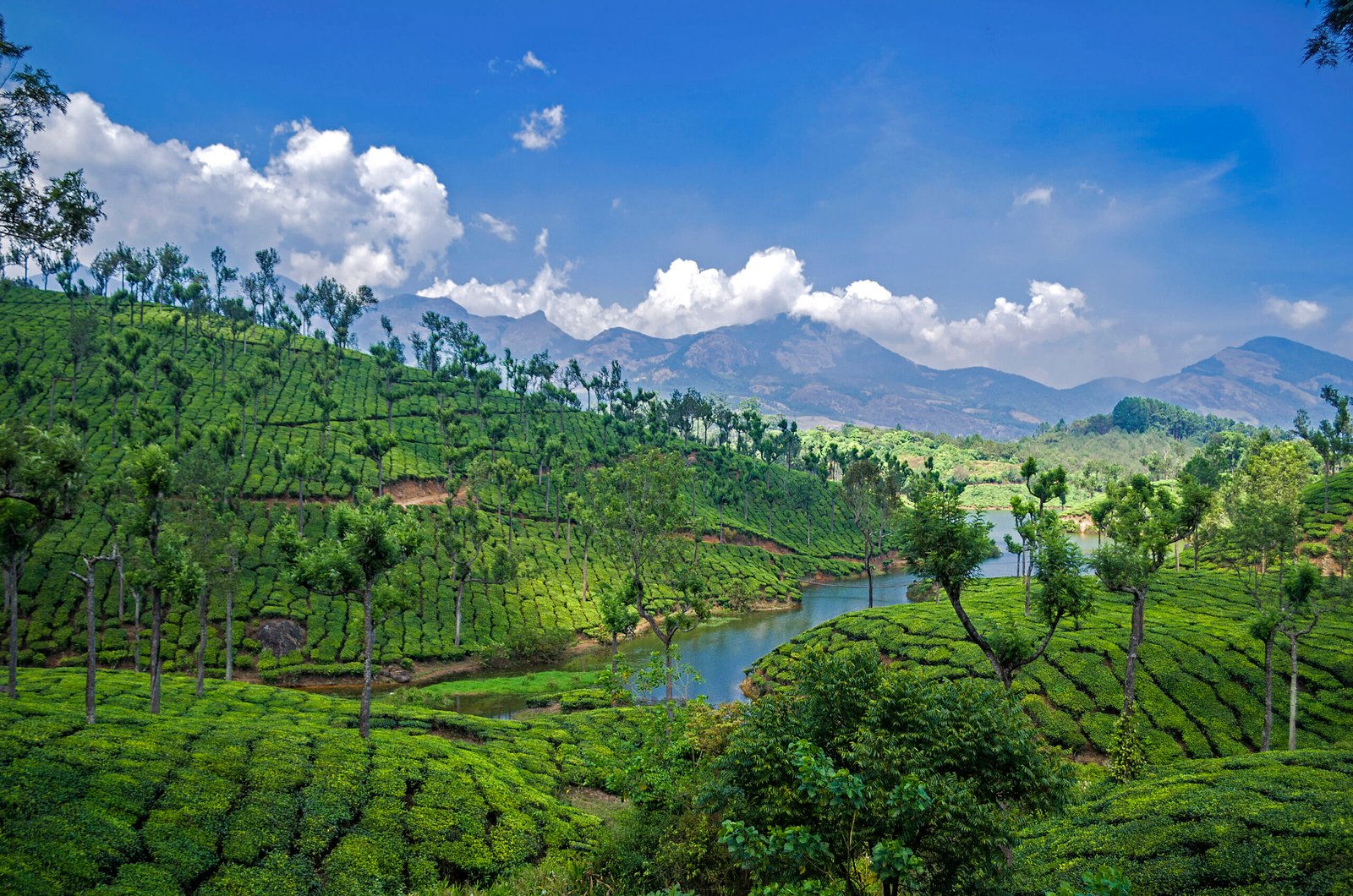 Ooty