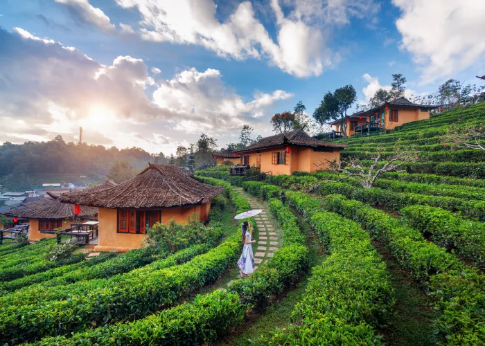 Ooty