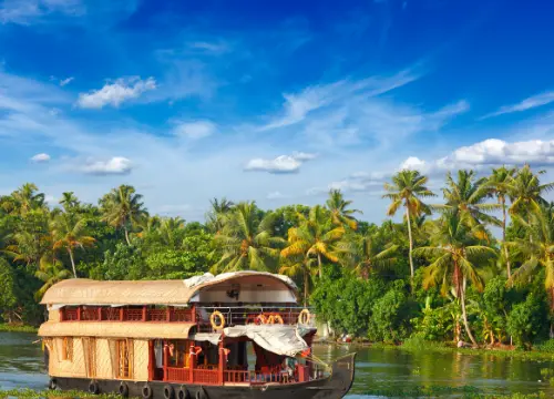 Munnar & Alleppey Tour