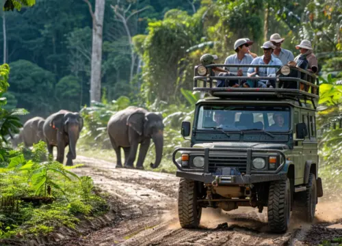 Dandeli - Gokarna 4 Days Trip