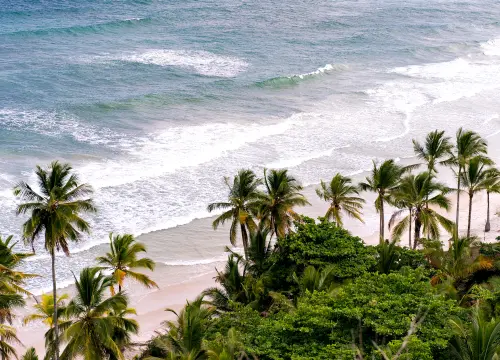 Gokarna (25)