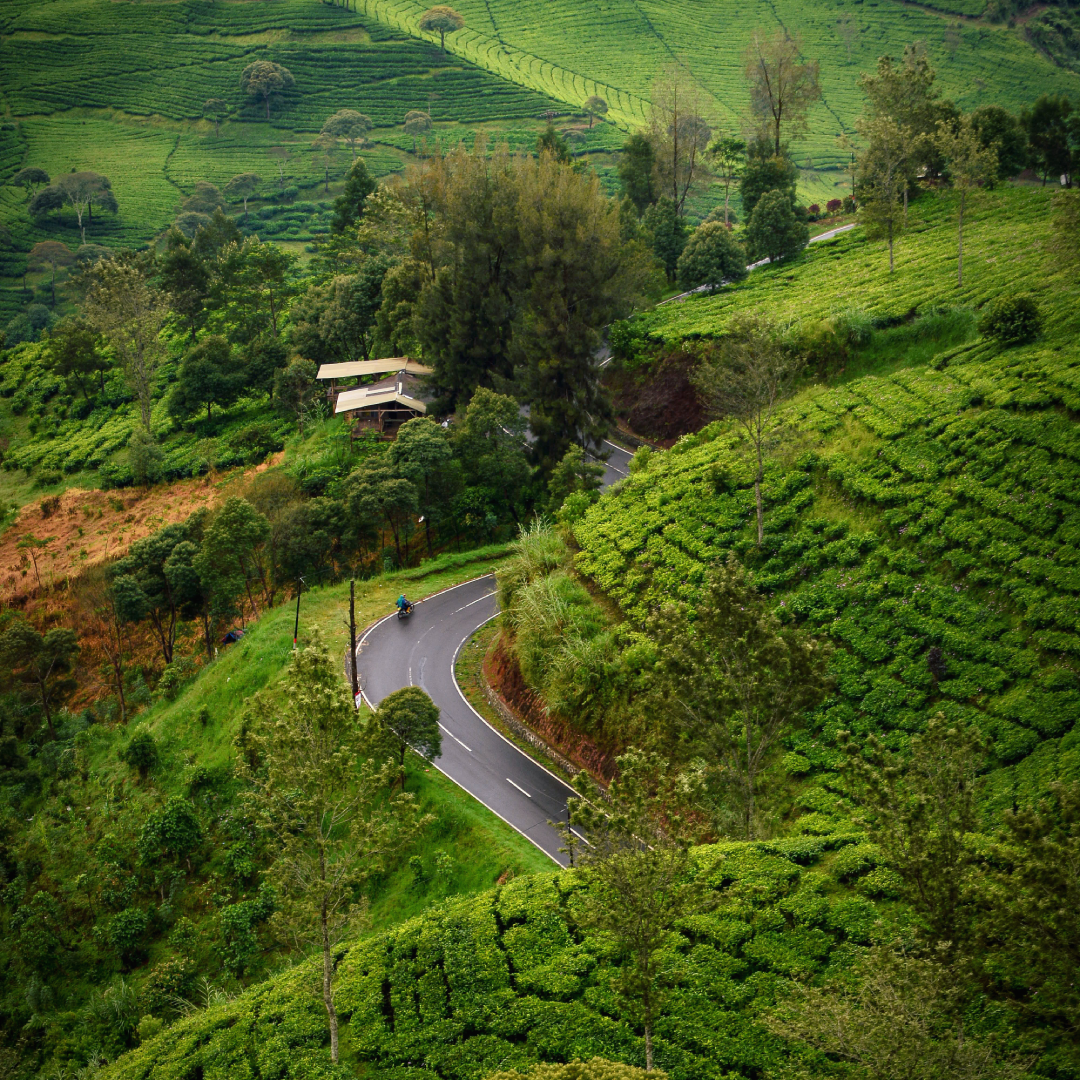 Karnataka 8 Days Trip