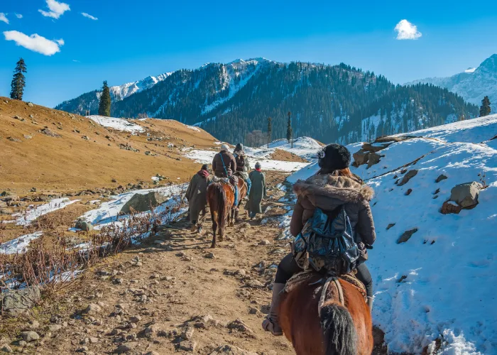 Himachal Group