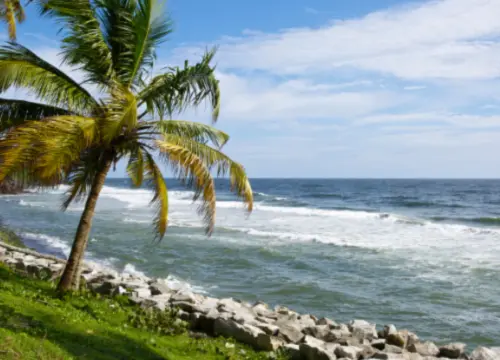 Munnar - Alleppey & Varkala Tour