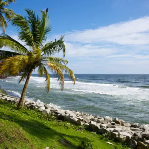 Munnar - Alleppey & Varkala Tour
