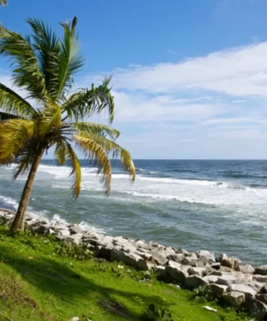Munnar - Alleppey & Varkala Tour