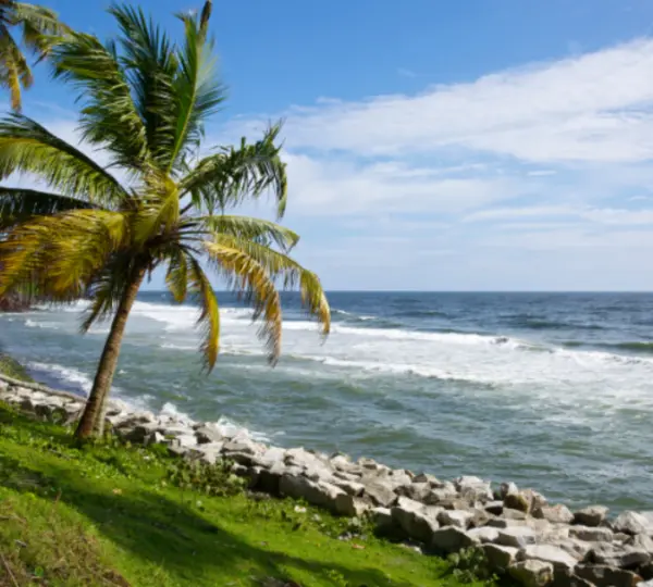 Munnar - Alleppey & Varkala Tour