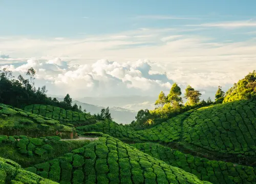 Kerala Group Trip - Mumbai
