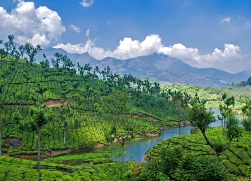 Munnar Long Weekend