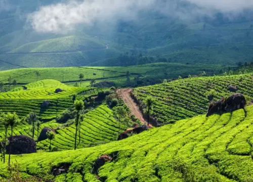 Munnar - varkala
