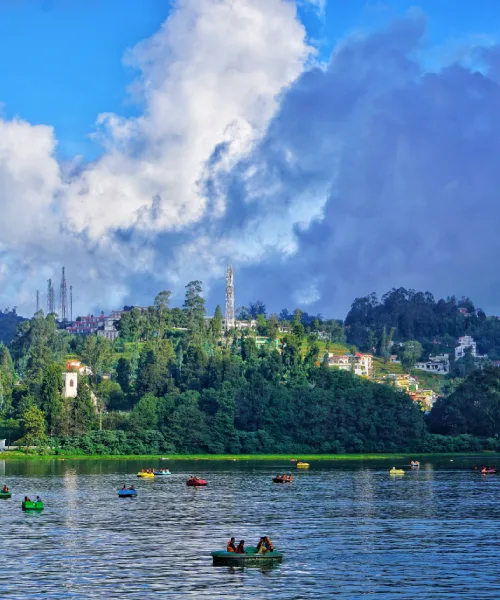 Nanital
