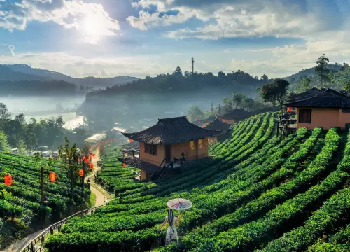 Ooty 2 days