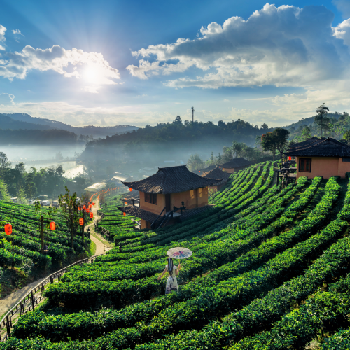 Ooty Weekend Trip