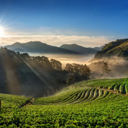 Coimbatore to Ooty 3 Days Trip