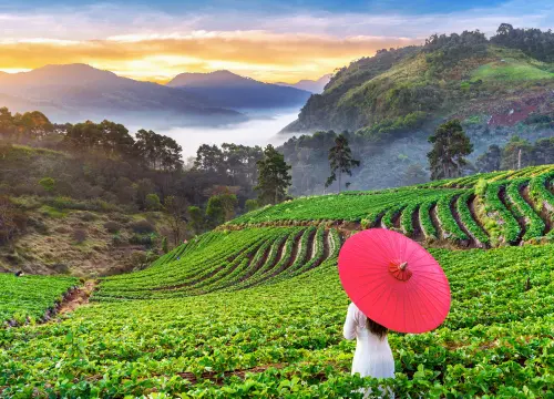 Coorg - Ooty Trip