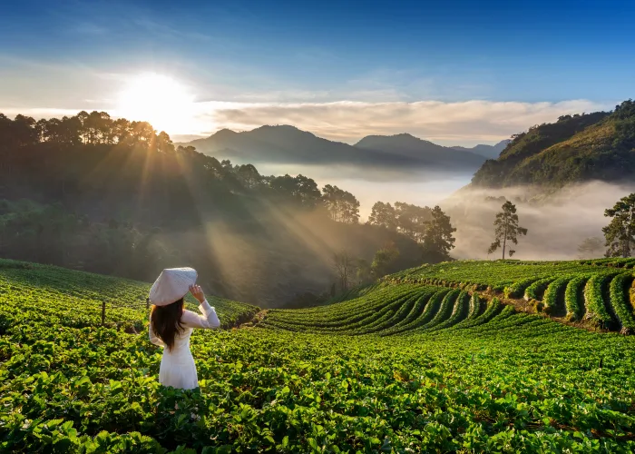 Coorg