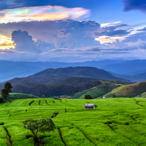 Mysore - Ooty 4 Days Trip