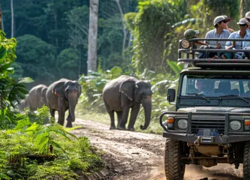 jeep safari banglore