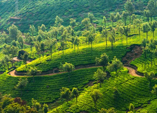 Karnataka 6 Days Group Trip