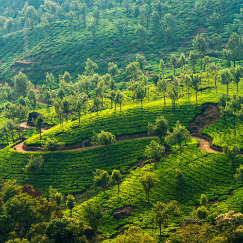Karnataka 6 Days Group Trip