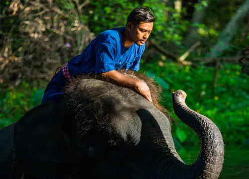 Kerala 6 Days Tour