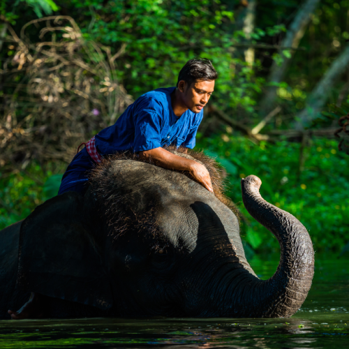 Kerala 6 Days Tour
