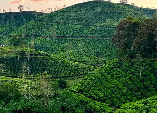 tamil nadu weekend