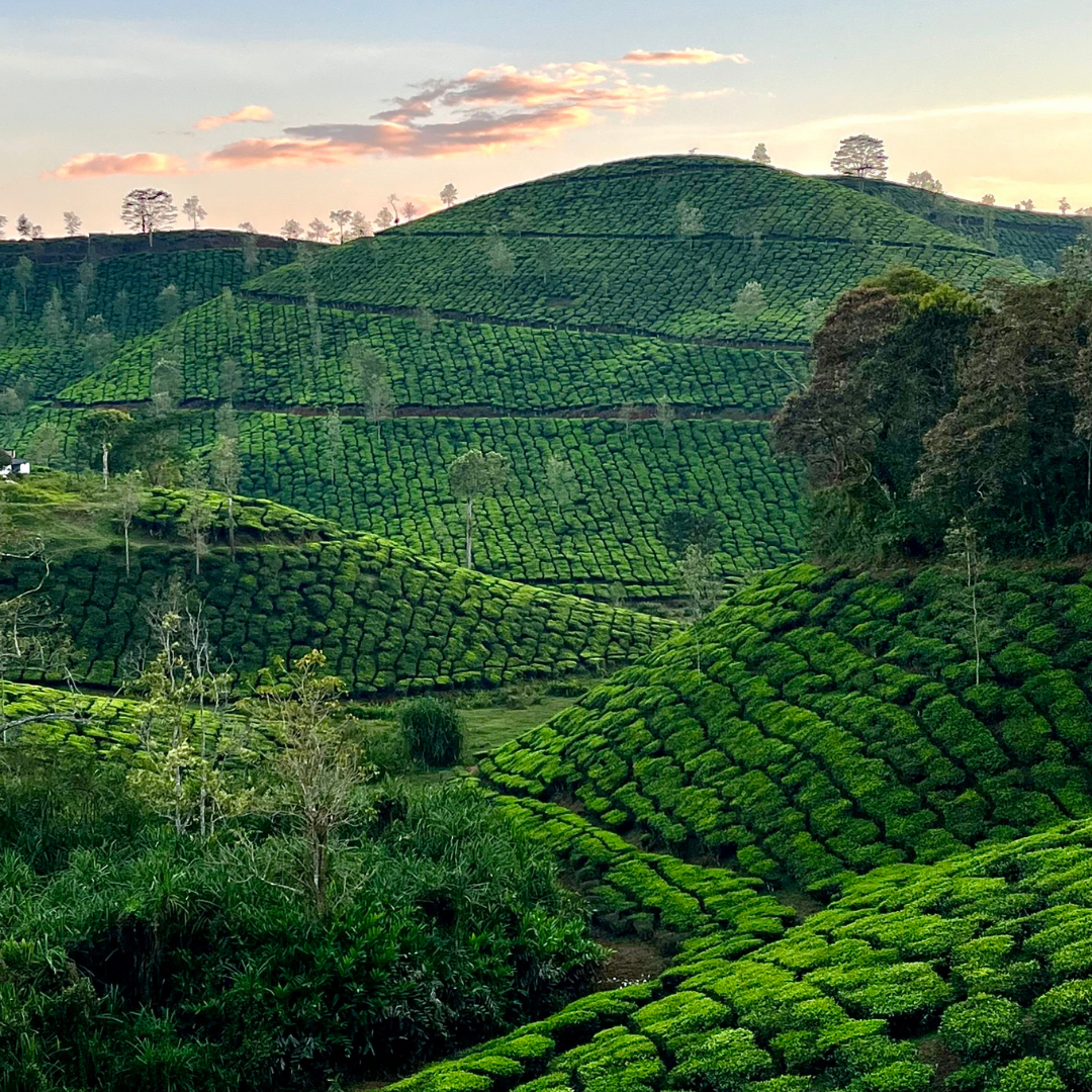 Kerala Group