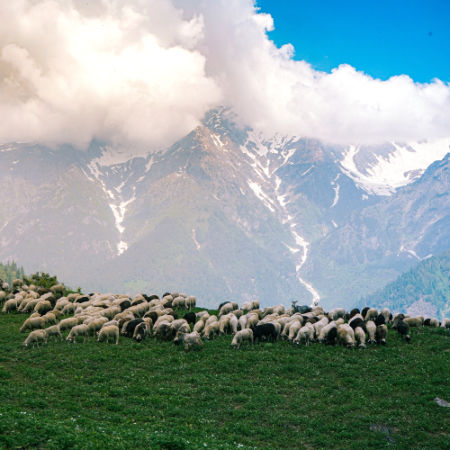 Mussoorie Weekend Trip
